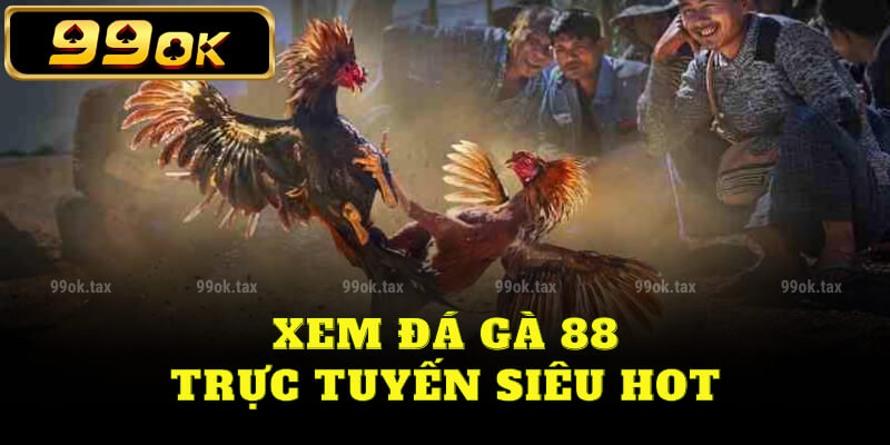 Xem đá gà 88 trực tuyến siêu hot