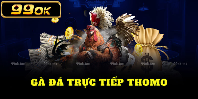 Gà đá trực tiếp thomo